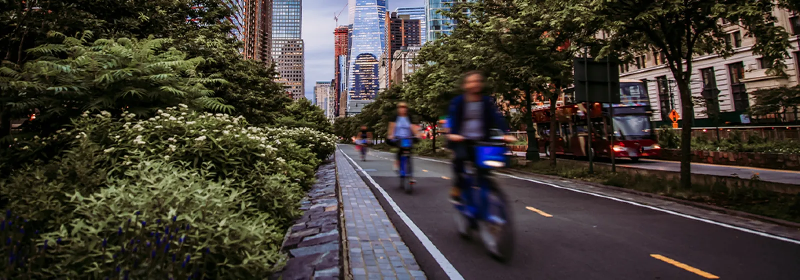 BikePed